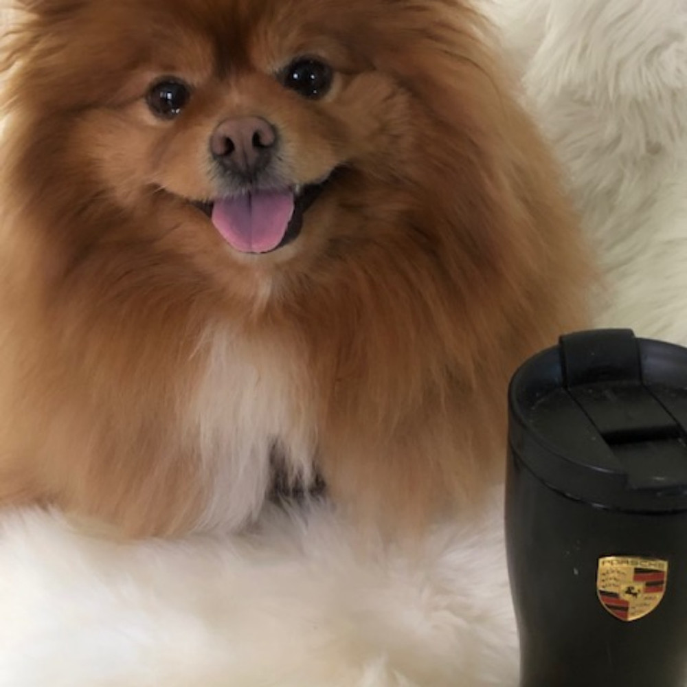 Meet your Posher, Alexandra